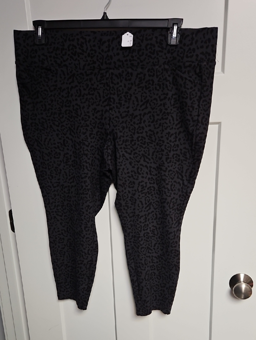 torrid Black Leopard Print Ponte Pixie ⁸Pants